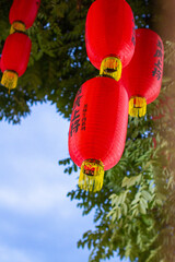 Obraz premium red lanterns hanging on a tree outside a restaurant.