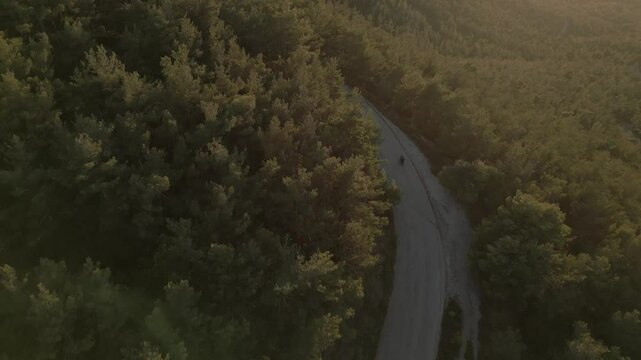 Motorbike in the pine forest on the mountain, aerial footage on sunset 