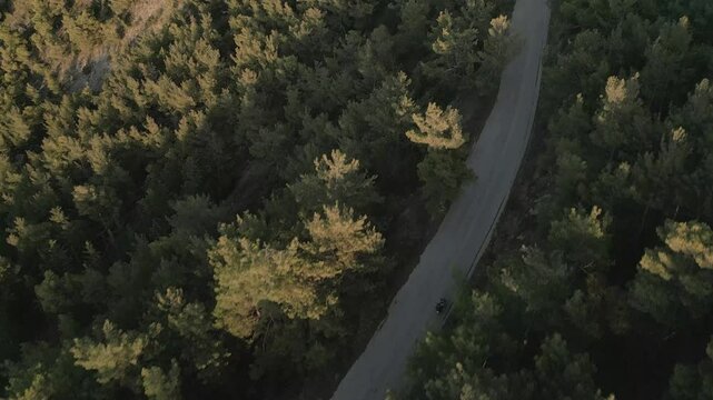 Motorbike in the pine forest on the mountain, aerial footage on sunset 