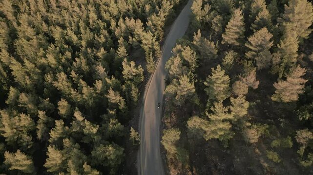 Motorbike in the pine forest on the mountain, aerial footage on sunset 
