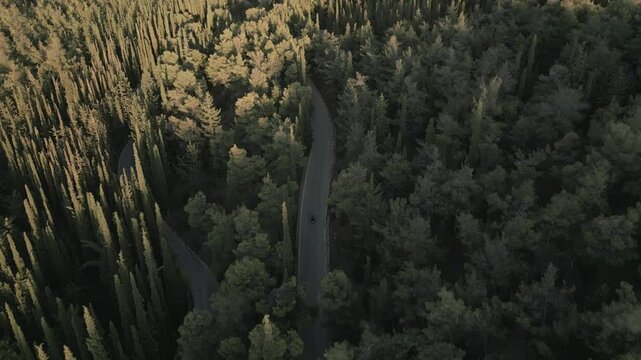 Motorbike in the pine forest on the mountain, aerial footage on sunset 