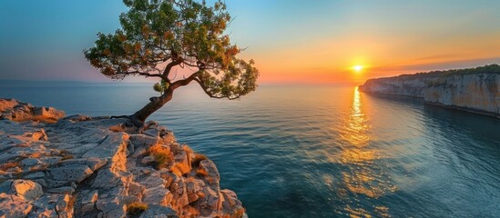 Sunrise Over the Sea with a Lone Tree on a Cliff