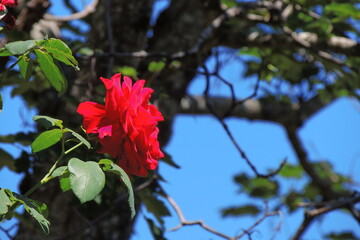 La bellezza della natura