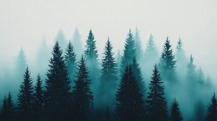 Fototapeta premium Misty Forest Green Trees Nature Background Calm Scenery Tranquil Woods Serene Landscape Evergreen