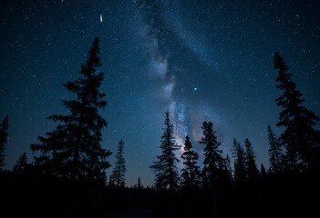 Fototapeta premium Silhouetted pine trees against a night sky filled with stars and the Milky Way galaxy