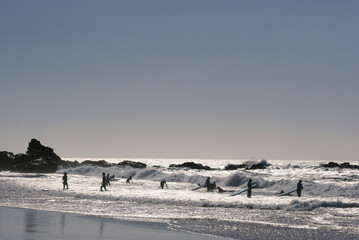 Surfers on the beach