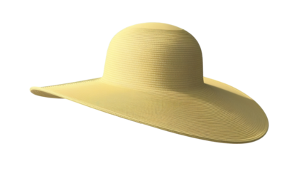 beach hat (png)