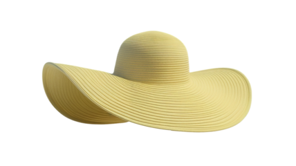 beach hat (png)
