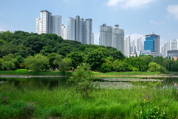 Fototapeta premium Beautiful park and apartments