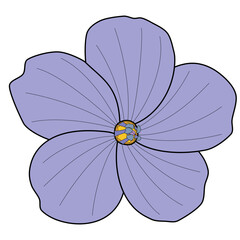 Linum hand-drawing style with transparent background in a wild flower concept, illustration