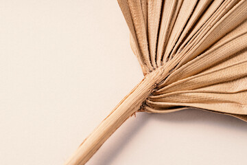 dry palm leaf on a beige background. Flat lay. Top view. Copy space. toned image