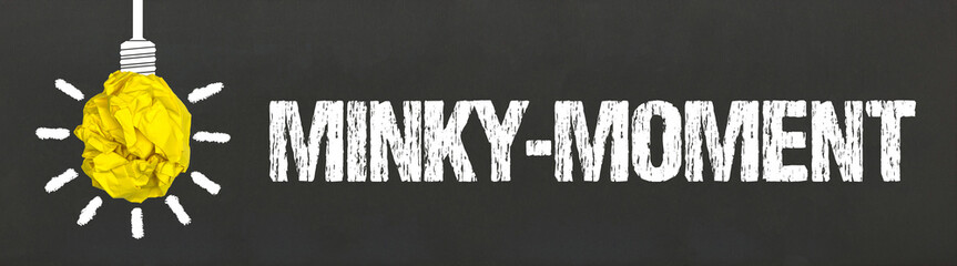 Minsky-Moment	