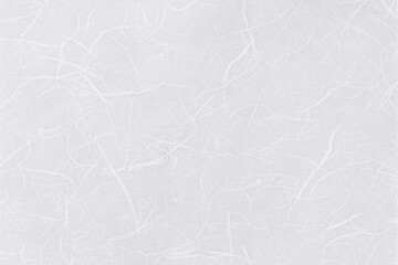 和紙（雲龍紙）　白1