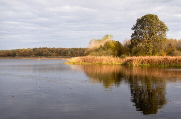 Etang de La Horre, R&eacute;serve naturelle nationale, Parc naturel r&eacute;gional de la for&eacute;t d'Orient, 10, Aube, France