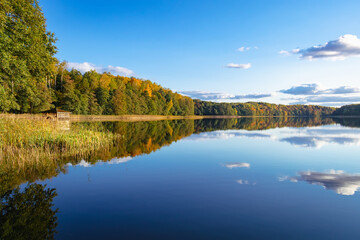 Fototapeta premium a lake on the background of an autumn forest