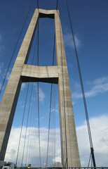Fototapeta premium reinforced concrete infrastructure and steel cables supporting the modern suspension bridge