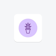 Obraz premium Aloe Vera Gel pentaglow , vector, pixel perfect, illustrator file