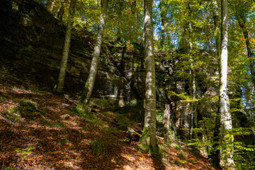 Obraz premium Scenic diversity of Mullerthal, Luxembourg's Little Switzerland, hiking routes, rock formations, moss-covered forests, tourist destination in Europe