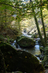 Obraz premium Scenic diversity of Mullerthal, Luxembourg's Little Switzerland, Schiessentumpel Cascade hiking routes, rock formations, forests, tourist destination in Europe