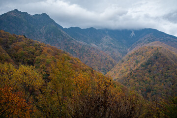 紅葉に染まる山々