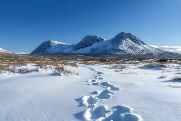 Snow-capped mountains under a clear blue sky, with a trail of footprints leading into the distance