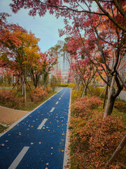 the tracks of the park and the autumnal trees