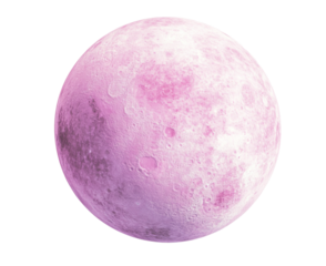 A Whimsical Pink Moon , isolated on white background png