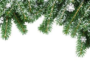 Obraz premium Festive Winter Branches with Snowflakes , isolated on white background png