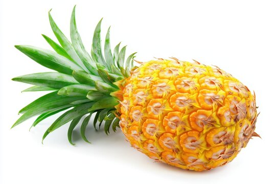 Ananas Ganz Frucht Nahaufnahme Tropische Frucht Lebensmittel Fotografie Exotik Gesundheit Studioaufnahme Sommer Frische Vitamin C Detailaufnahme Obst Natur &Auml;sthetik Minimalis