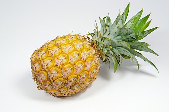 Ananas Ganz Frucht Nahaufnahme Tropische Frucht Lebensmittel Fotografie Exotik Gesundheit Studioaufnahme Sommer Frische Vitamin C Detailaufnahme Obst Natur &Auml;sthetik Minimalis