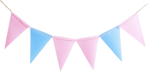 A colorful string of triangular bunting featuring alternating pink and blue flags.