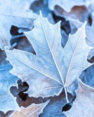 Close up of Frost-Covered Leaves Showcasing Intricate Ice Crystals in a Seasonal Transition