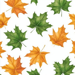 Obraz premium set of leaves