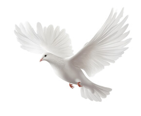Fototapeta premium Majestic White Dove in Flight: A Symbol of Peace and Freedom , isolated on white background