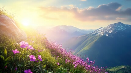 Obraz premium A mountain range with a beautiful field of purple flowers