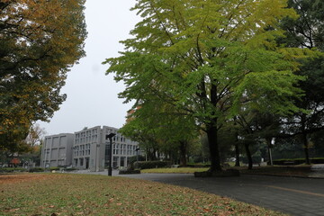 日本　埼玉の風景
