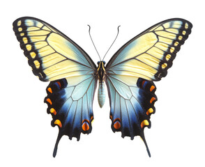 Obraz premium A Stunning Close-up of a Butterfly's Exquisite Wings