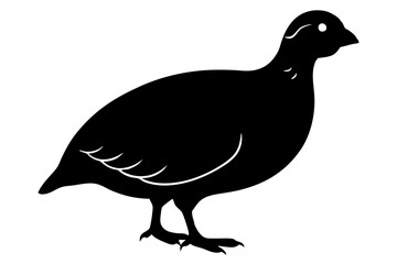 Obraz premium Bobwhite Quail Silhouette, Quail silhouette Vector illustration design.