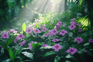 Vibrant Purple Flowers in Lush Green Forest