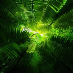 Obraz premium lush green foliage viewed from below, showcasing the beauty of nature