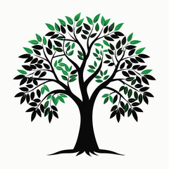 Obraz premium Black Locust Vector Art Illustration