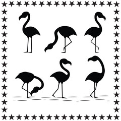 Obraz premium Flamingo Bird Silhouette Vector Cute Flamingo With Round Star On White Background