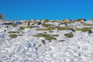 Rocks in the middle of white snow, set against a backdrop of blue sky