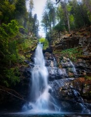 Cascada en medio de un bosque frondos, vista a ras de a cascada