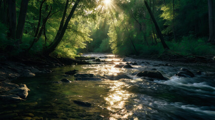 Obraz premium Forest Stream in the Morning Light