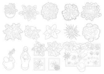 top view cad trees, plant plan, cad