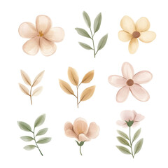 Obraz premium Elegant botanical illustrations featuring delicate flowers and foliage in soft pastel colors suitable for various design projects, including invitations and prints.