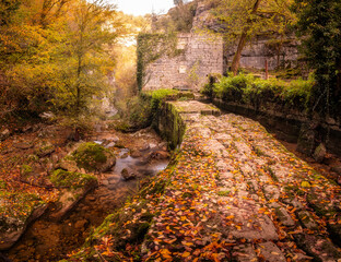 Moulin du Saut, an 18th century derelict mill in a forest of autumn colours on the Alzou river in...