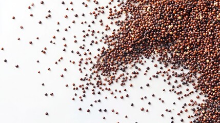Raw Quinoa Seeds on White Background