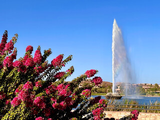 fountains in the park at Fountain Hills, Arizona, USA